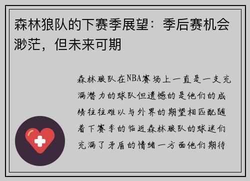 森林狼队的下赛季展望：季后赛机会渺茫，但未来可期