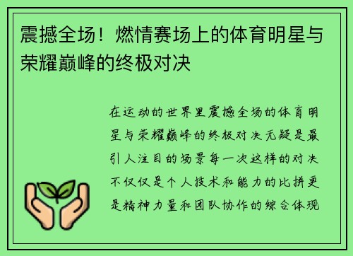 震撼全场！燃情赛场上的体育明星与荣耀巅峰的终极对决